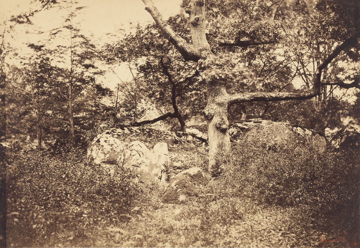  av Gustave Le Gray