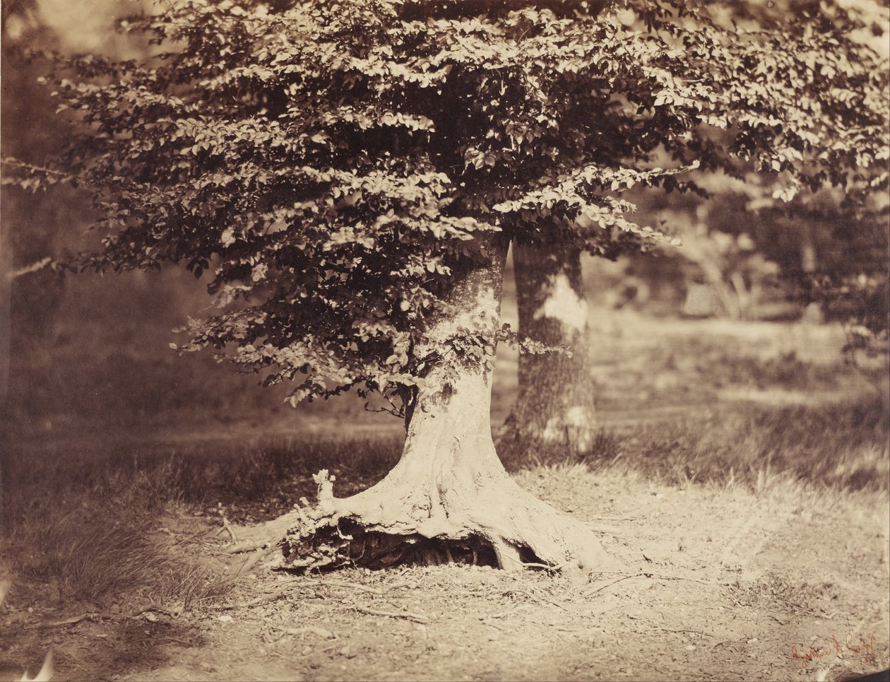  av Gustave Le Gray
