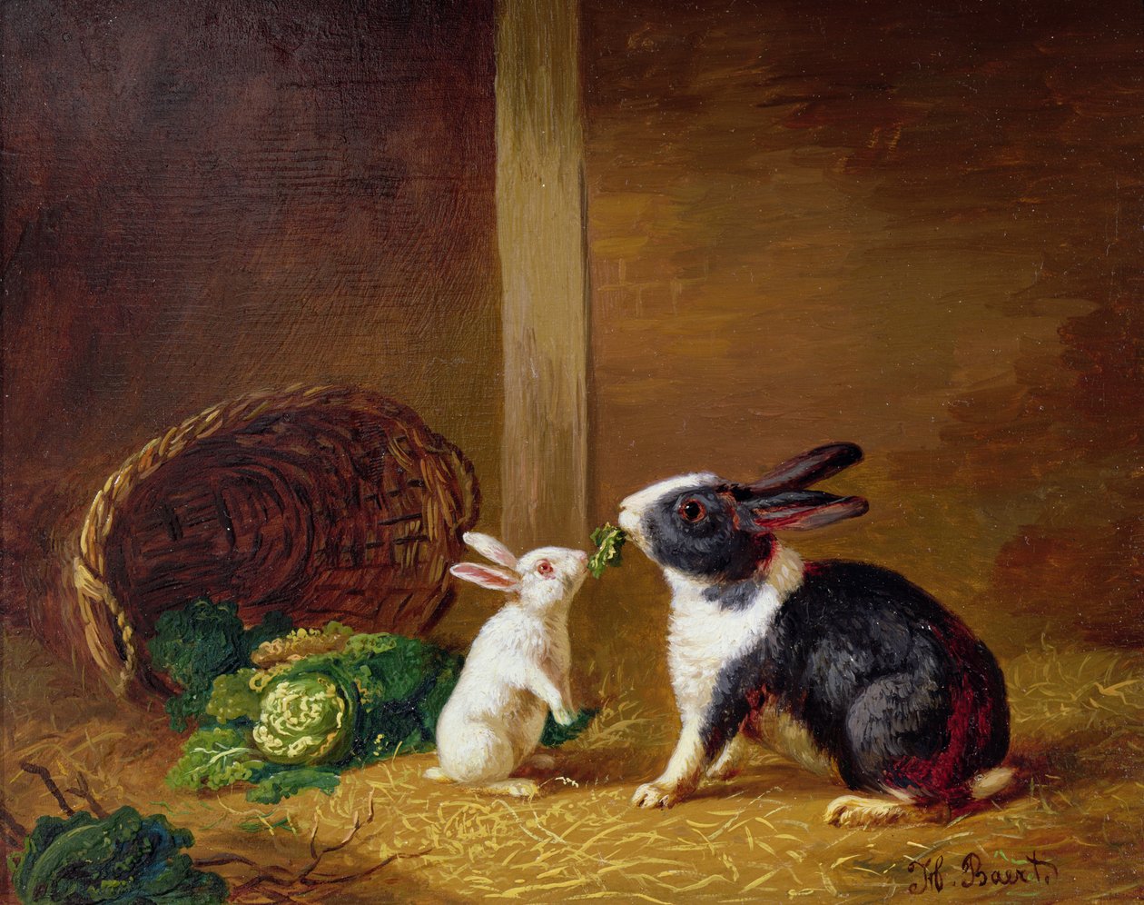 To kaniner av H. Baert