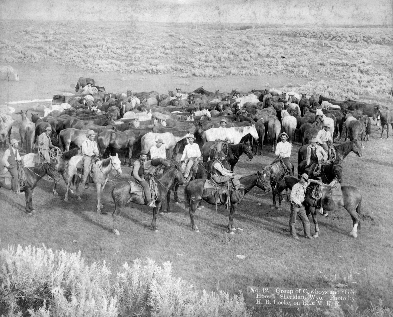 Gruppe av cowboyer og deres hester, Sheridan, Wyoming, ca. 1890 av H. R. Locke