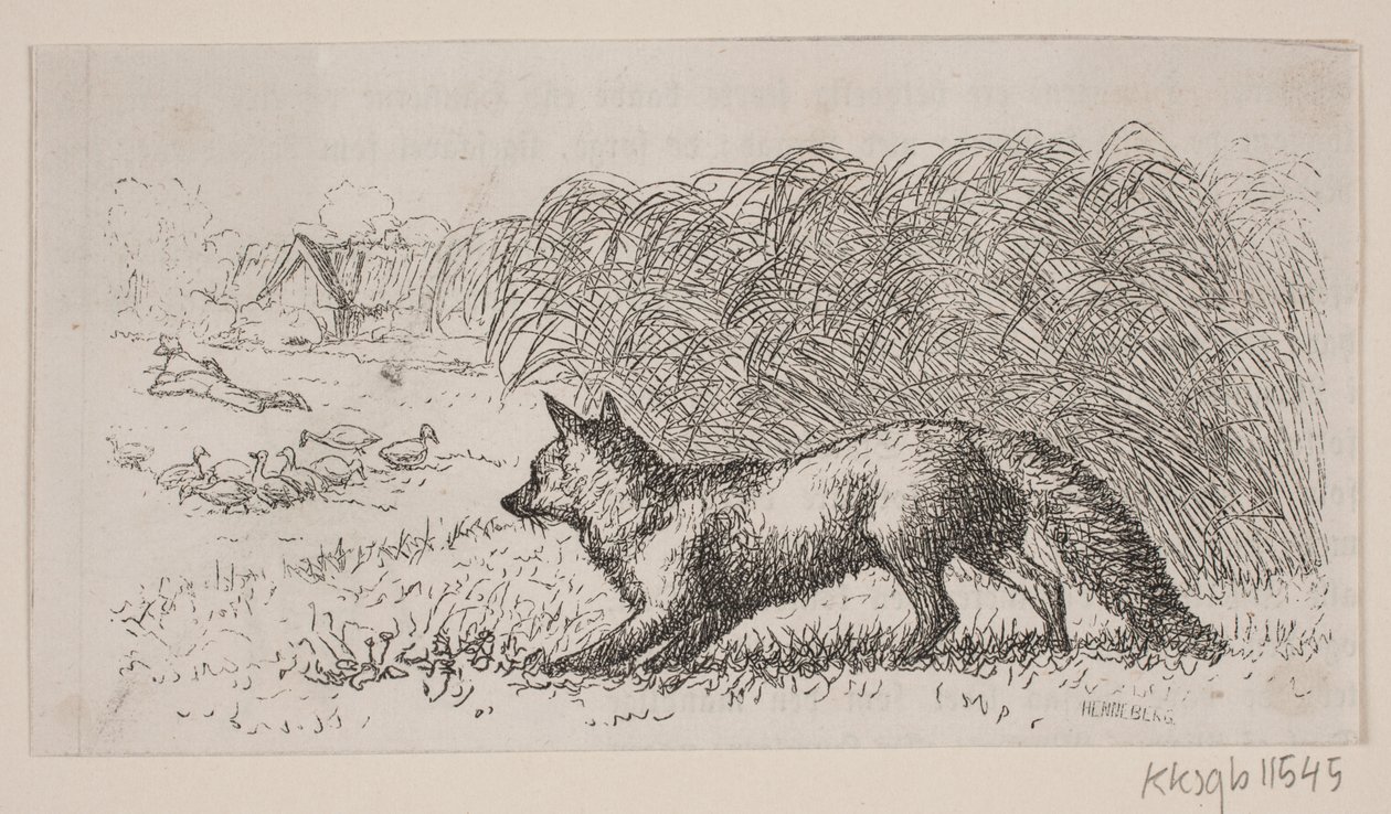 Illustrasjon for: "Mr. Mikkel" av H. C. Henneberg