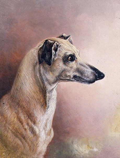 Hodet til en greyhound (panel) av H. Morley Park