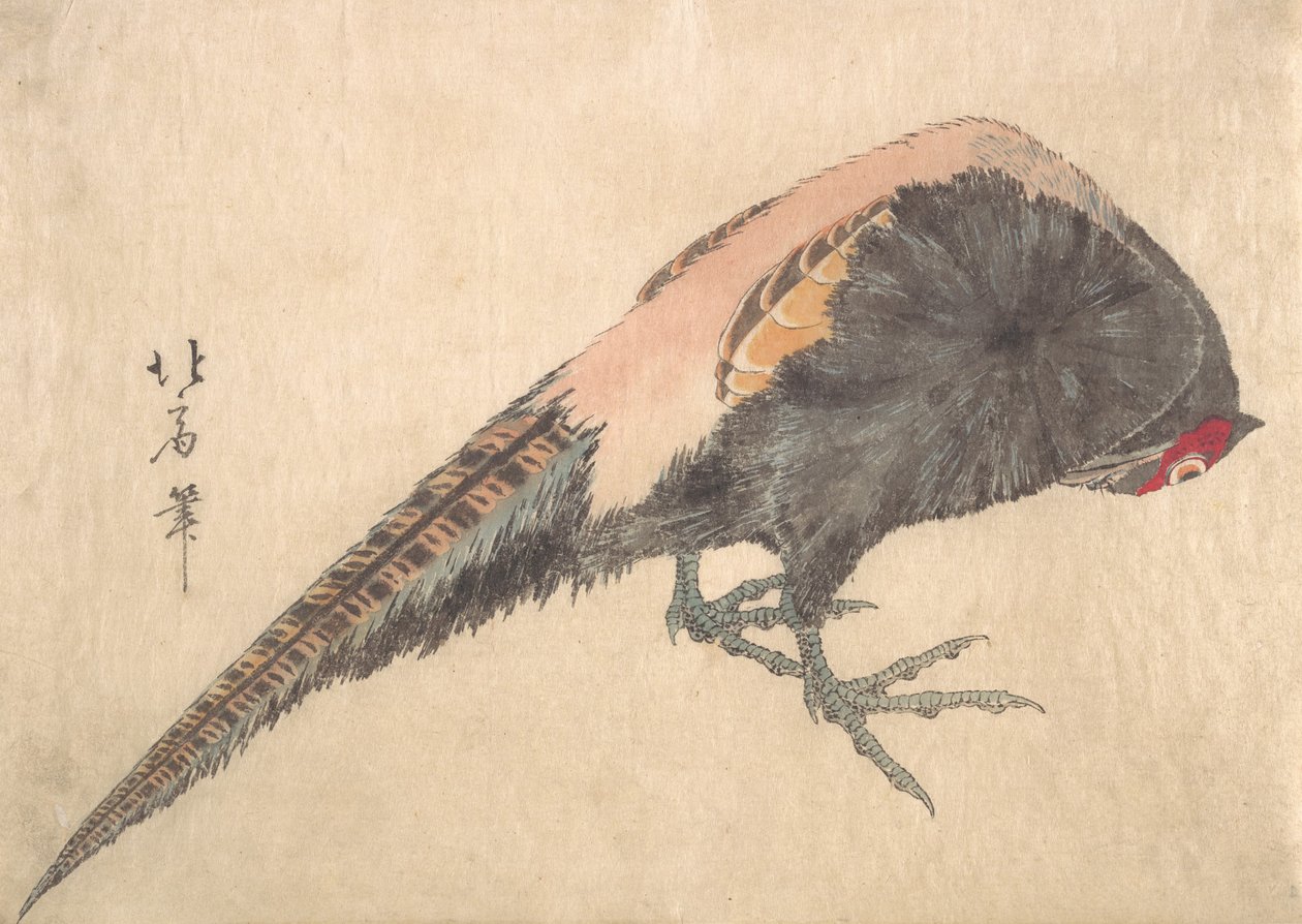 Fugl, 1830-tallet. av Hakusanjin Hokui