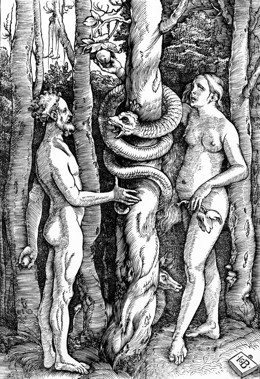 Menneskets fall, ca. 1514 av Hans Baldung Grien