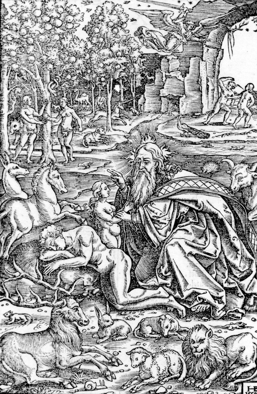 The Creation of Eva, fra The Luther Bible, 1550 av Hans Brosamer