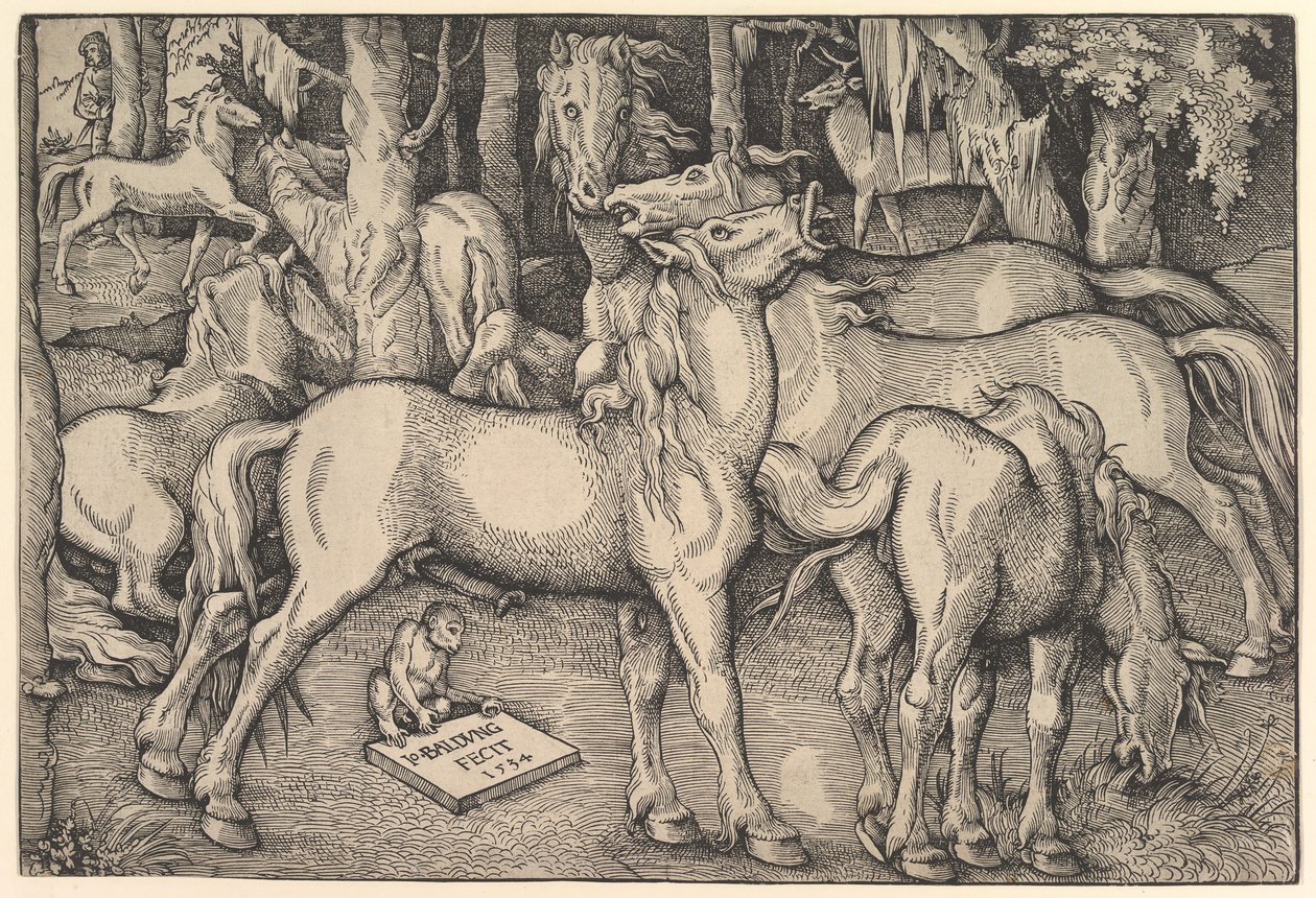 Gruppe på syv hester, 1534. av Hans Baldung