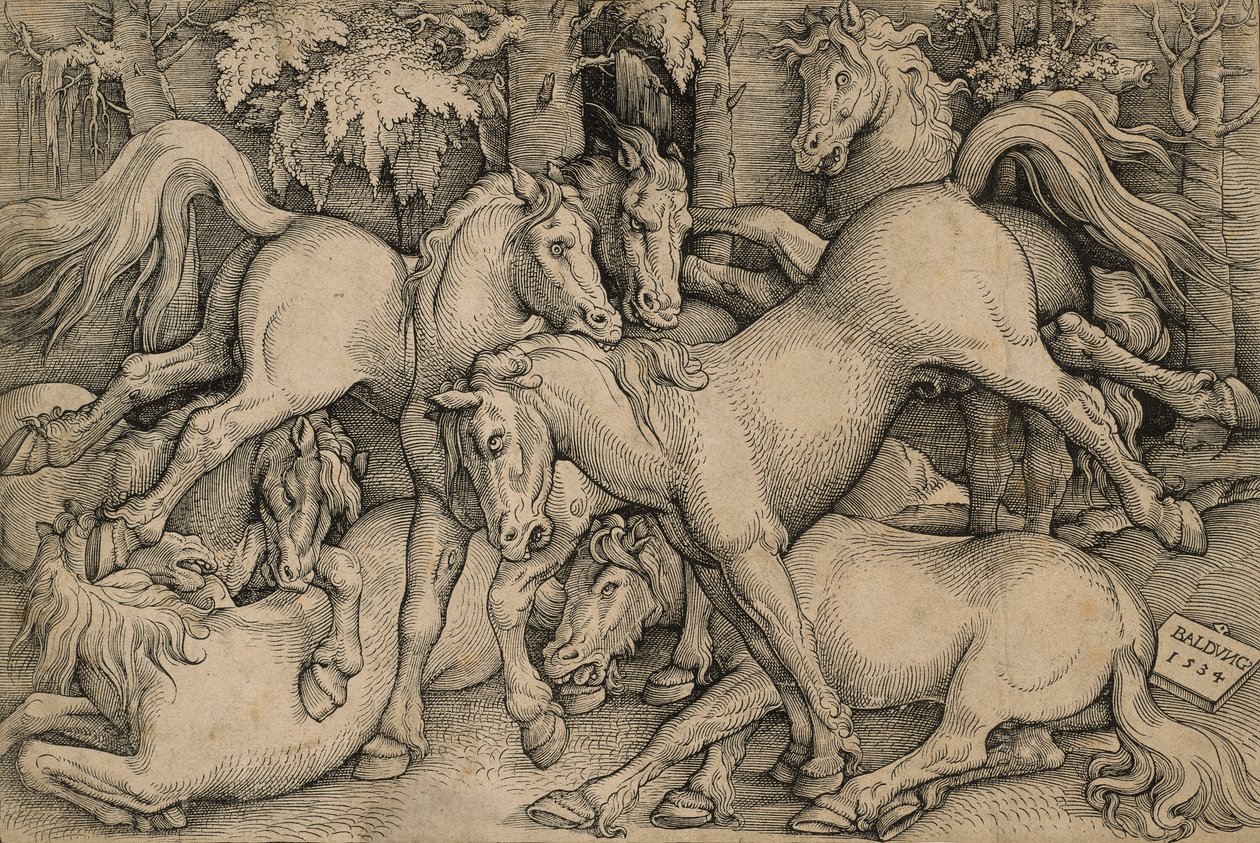Vilde hester slåss av Hans Baldung Grien