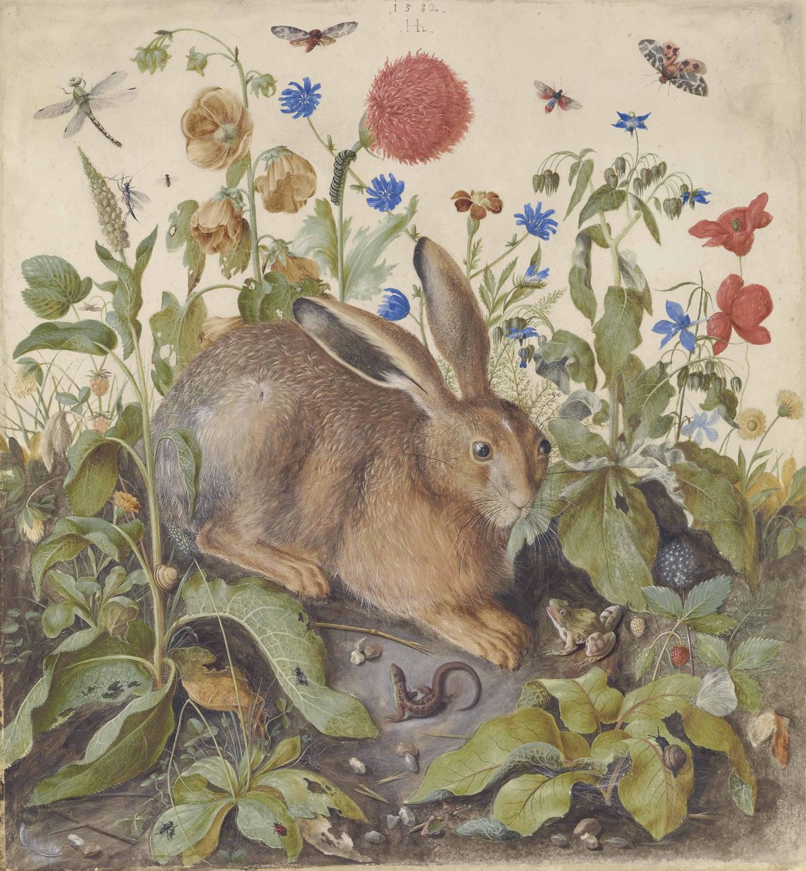 En hare blant planter, 1582 av Hans Hoffmann