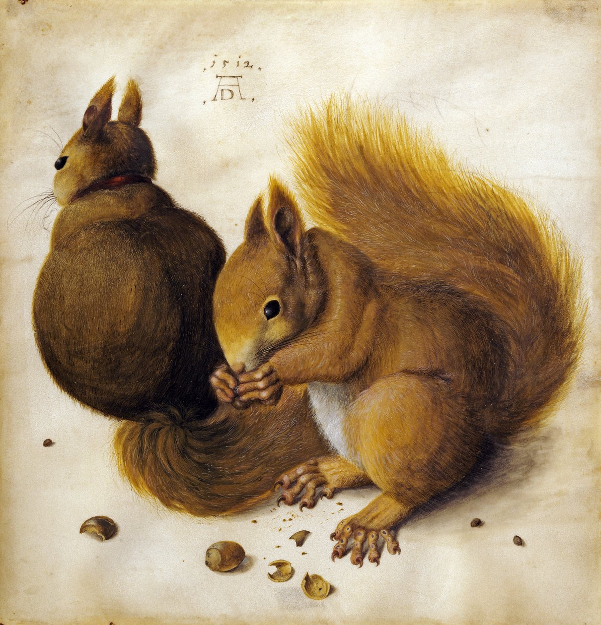 To ekorn. av Hans Hoffmann