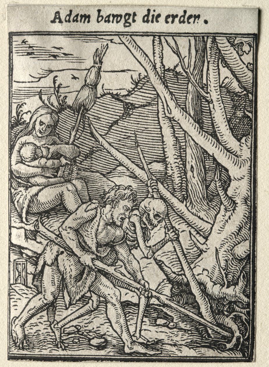 Dødedansen: Adam Tilling the Ground. av Hans Holbein