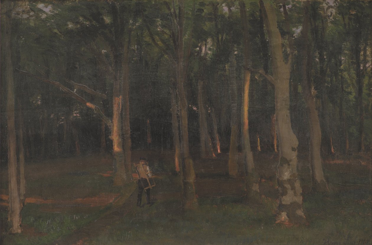 Skog ved solnedgang av Hans Smidth