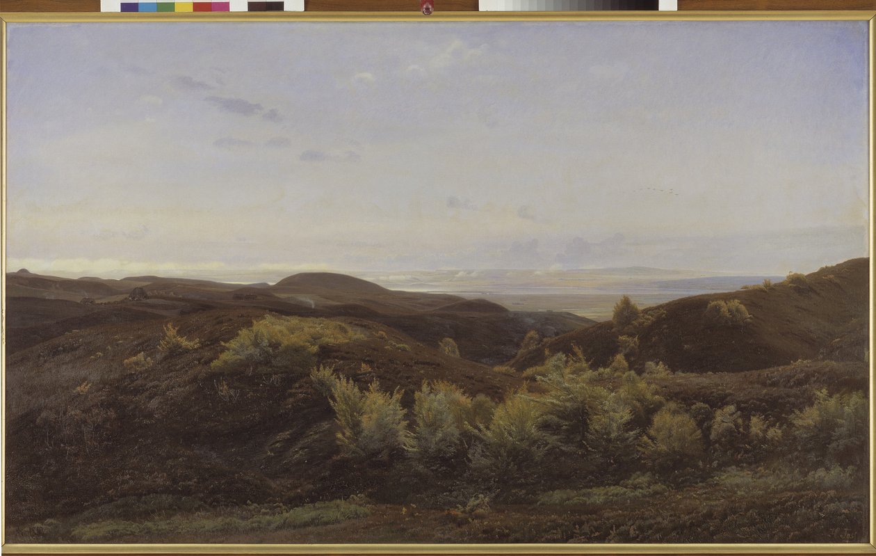 Heather Hills nær Rye, Jylland av Harald Foss