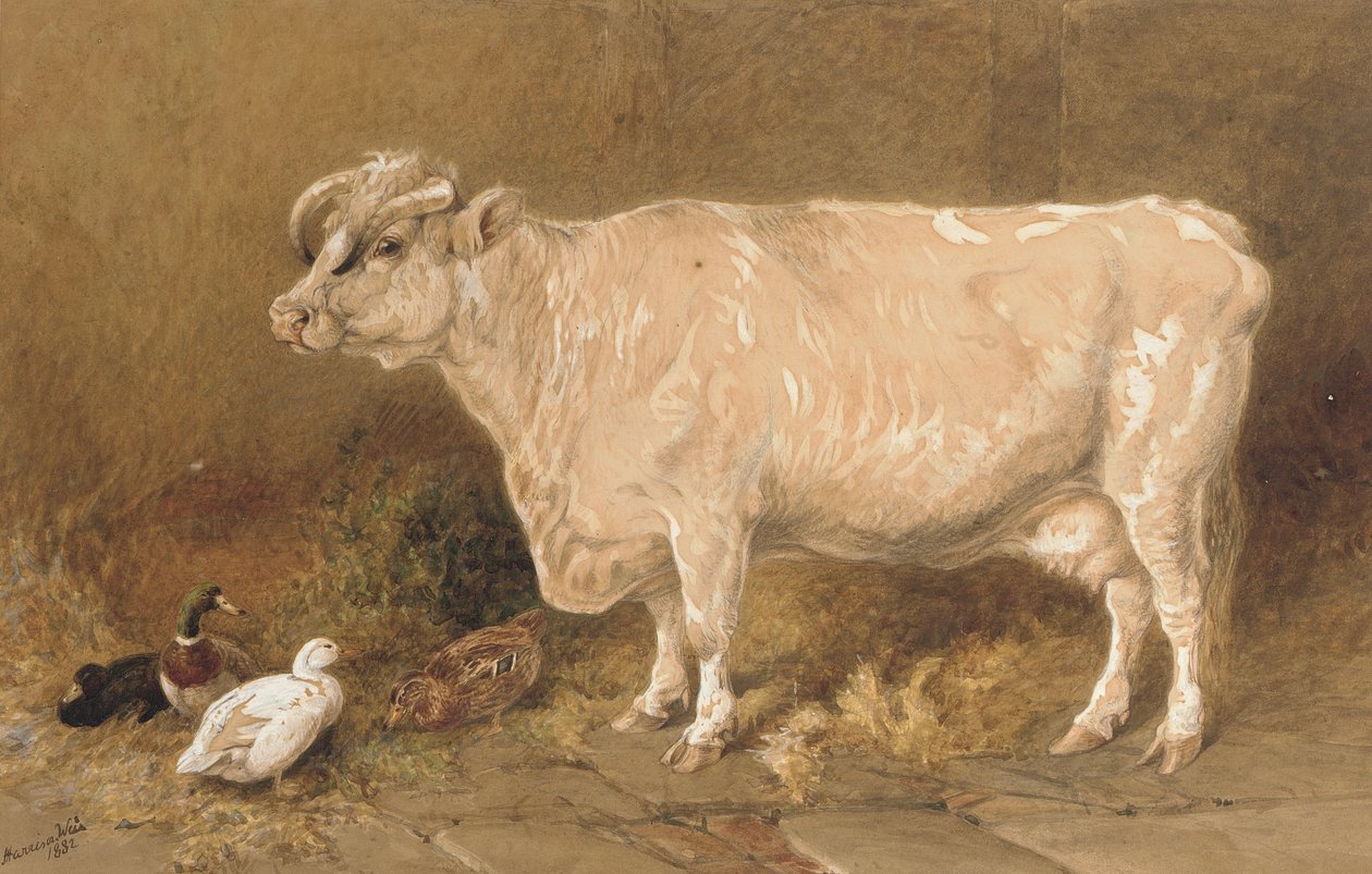 Ku med ender i en låve av Harrison William Weir
