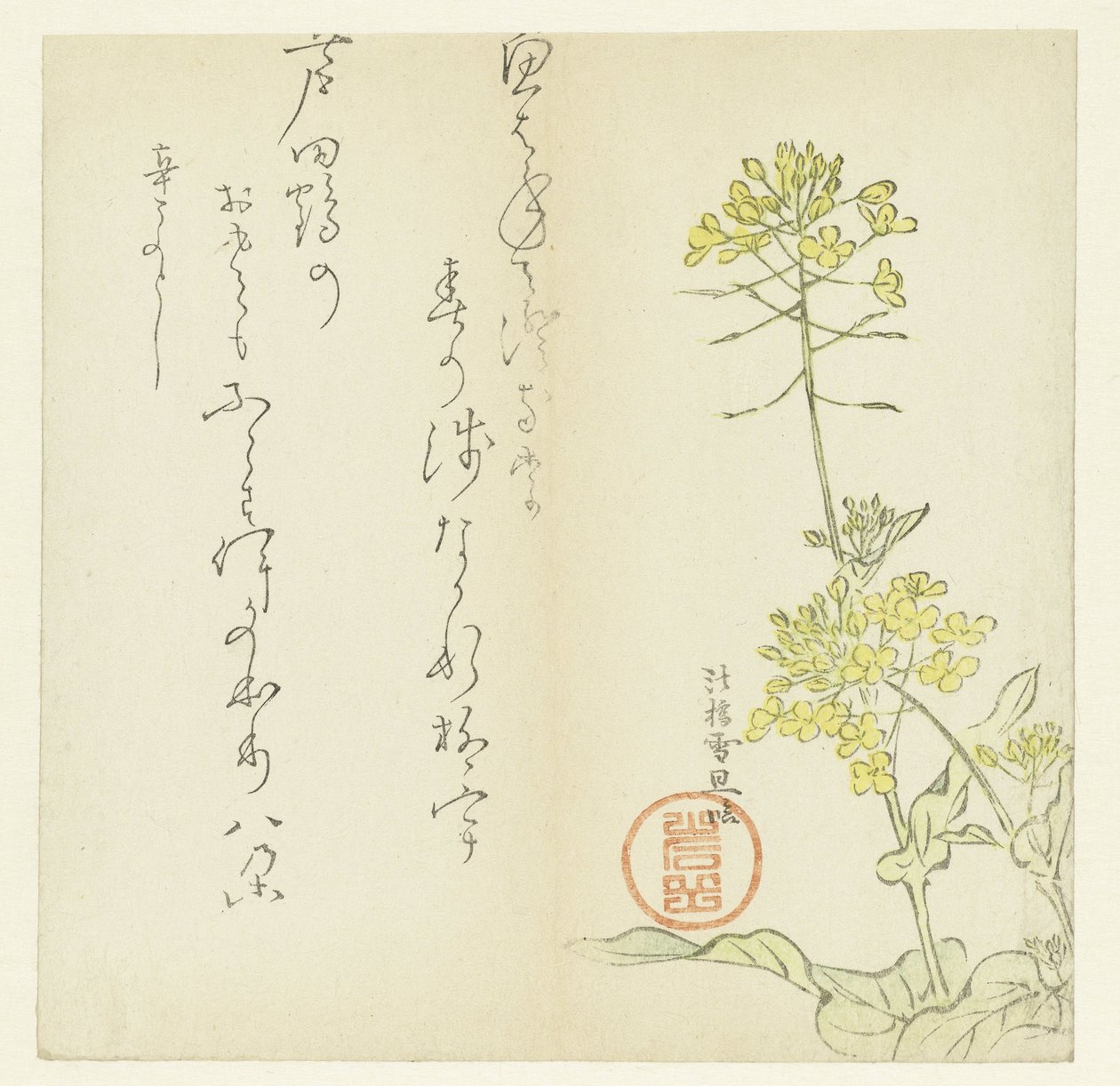 Blomster av Hasegawa Settan