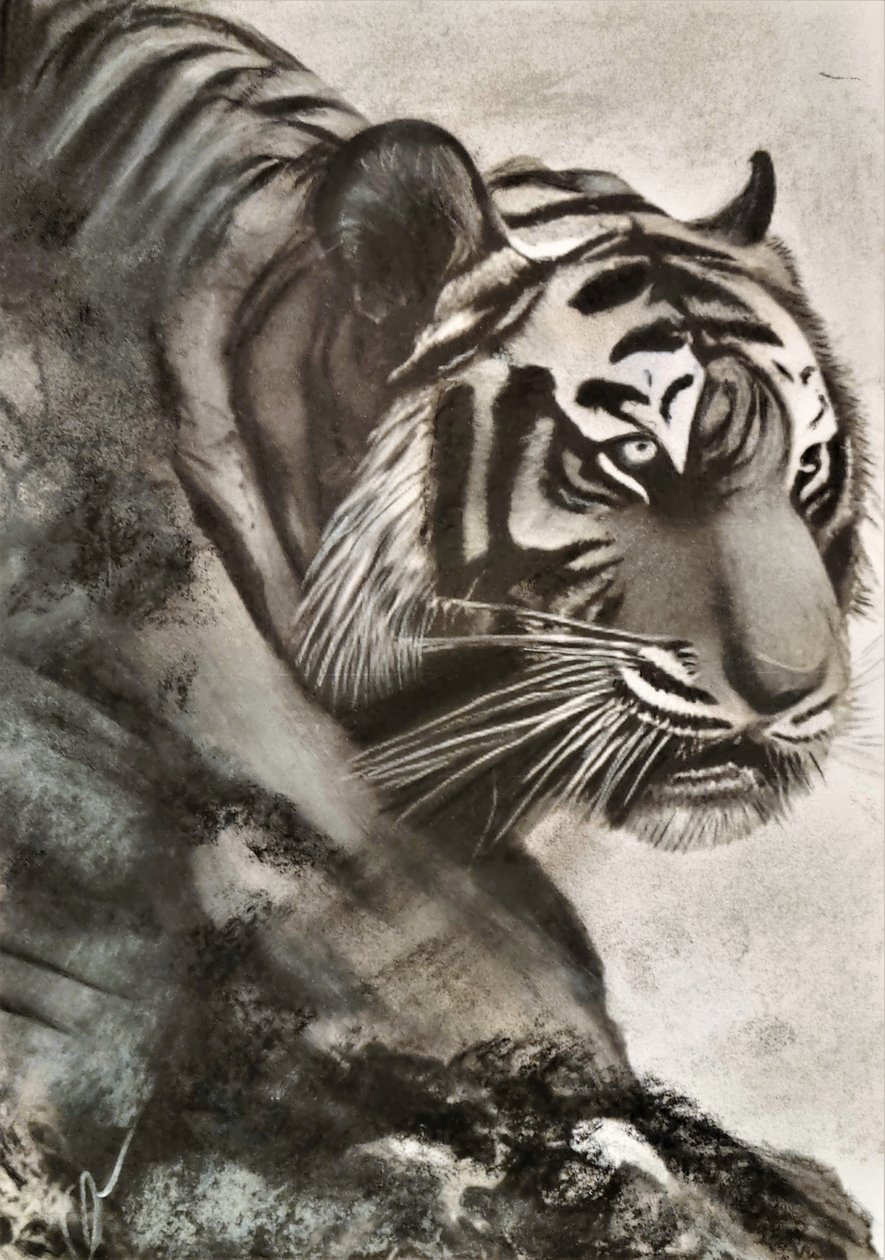 Tigre på jakt av HaskellArt