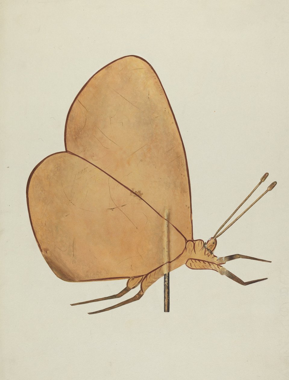 Butterfly Weather Vane, ca. 1938. av Hazel Hyde