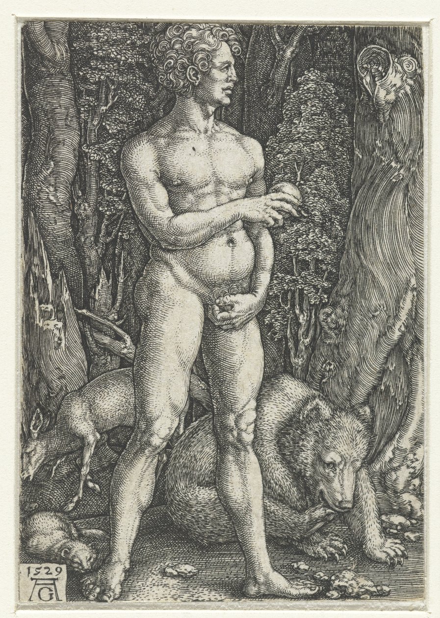 Adam av Heinrich Aldegrever