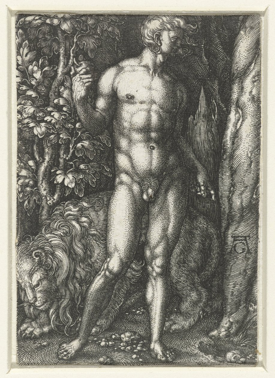 Adam av Heinrich Aldegrever