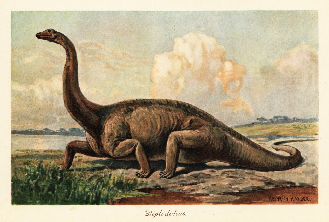 Utdødd Diplodocus longus på slettene. av Heinrich Harder