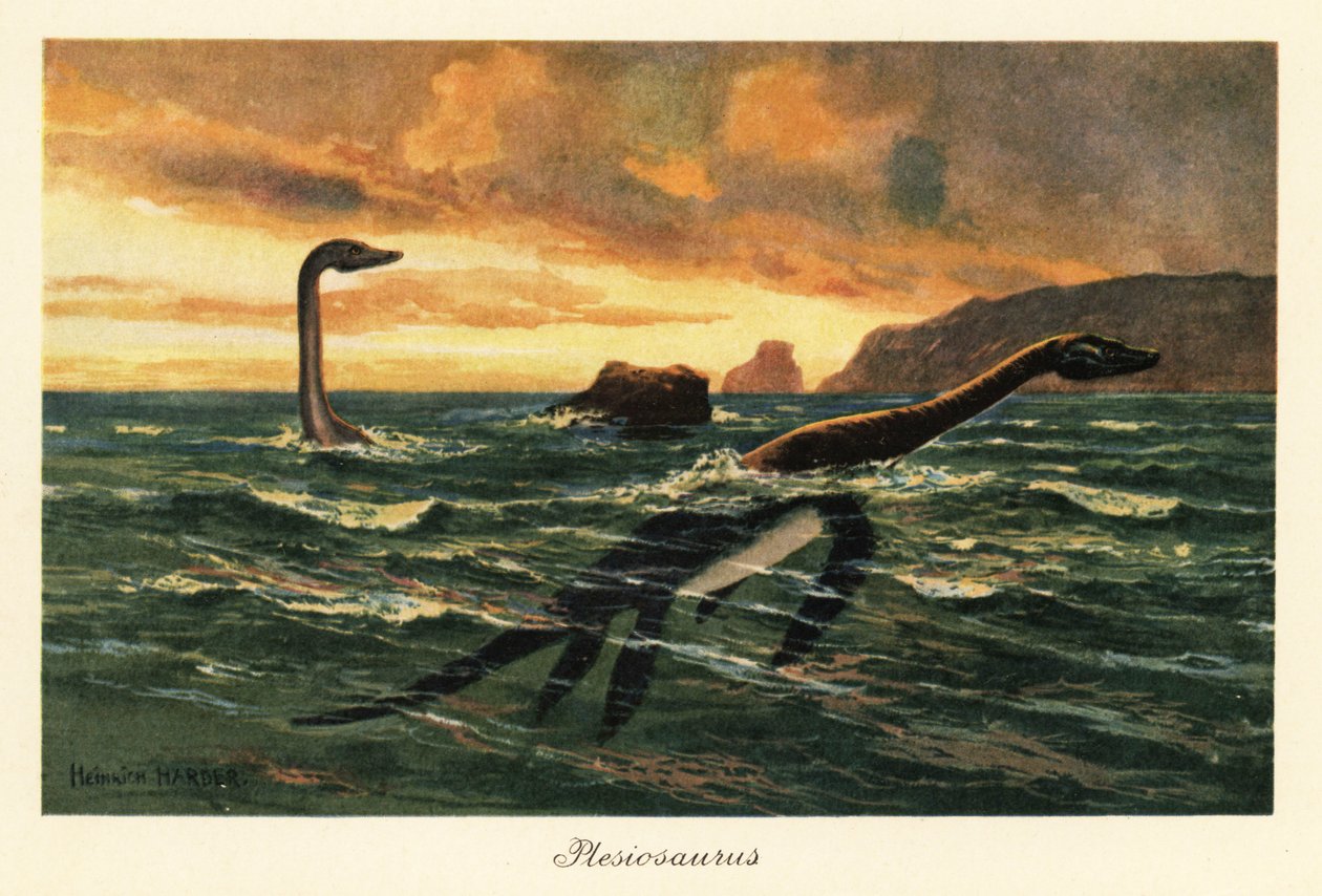 Plesiosaurus dolichhodeirus i havet. av Heinrich Harder