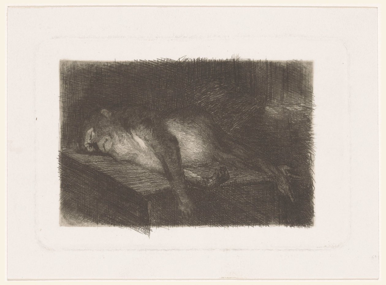 Løgnende, sovende ape av Heinrich M. Krabbé