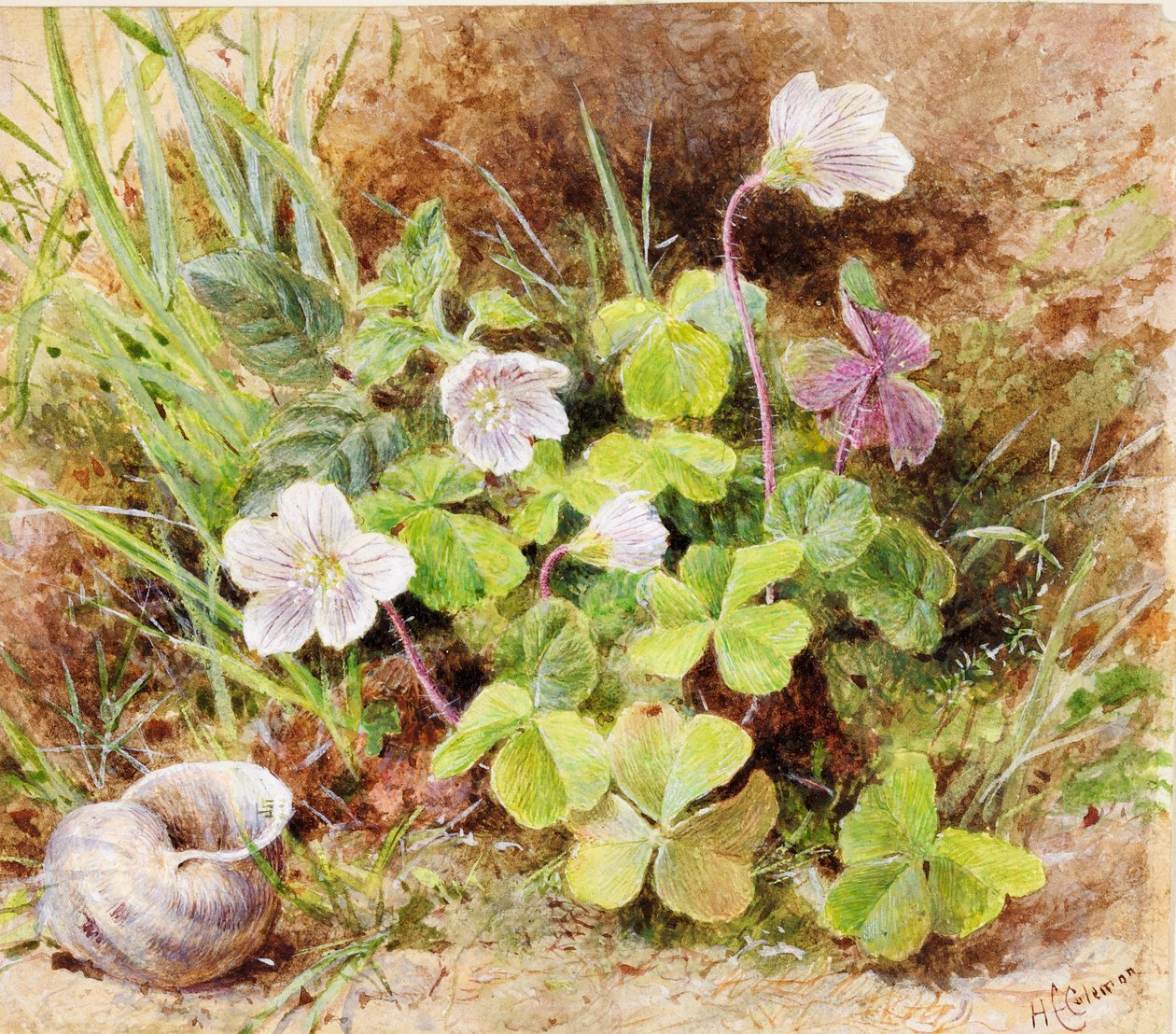 Sorrel og Shell, ca. 1865-74 av Helen Cordelia Coleman Angell