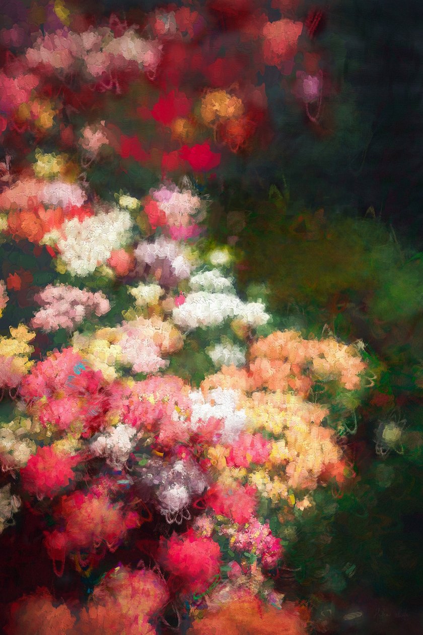 Flower Border, 2018, av Helen White