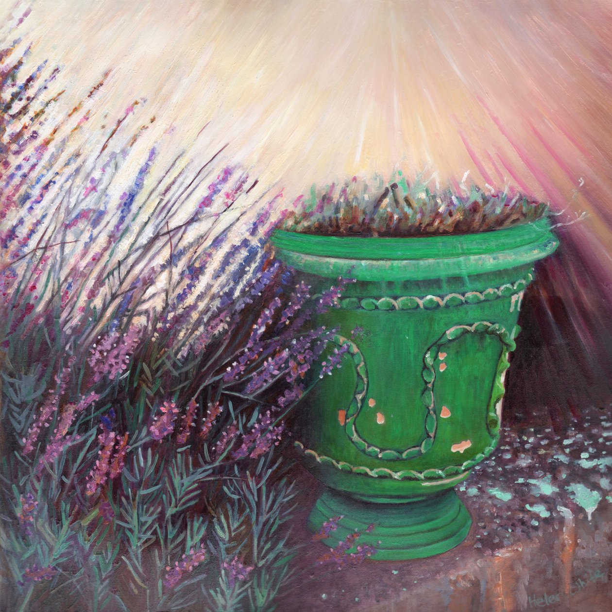 Provençalsk hage II, 2014, av Helen White