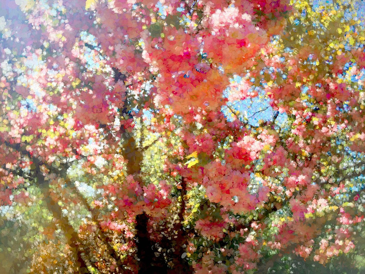 Spring Blossom Sky, 2018, av Helen White