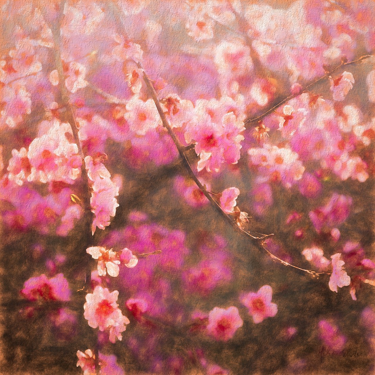 Spring Spring; 2018, blandet media) av Helen White