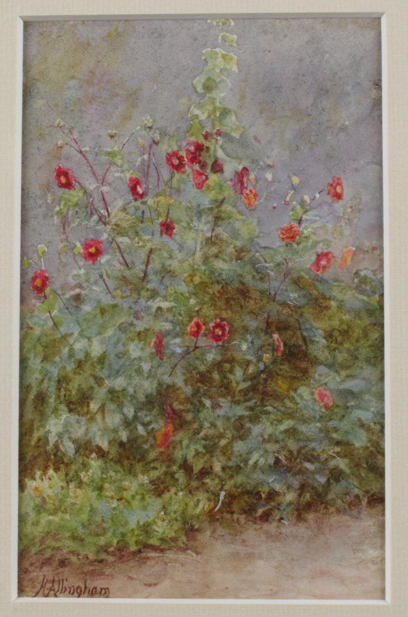 Flower Border, Stokrose og Dahlia av Helen Allingham