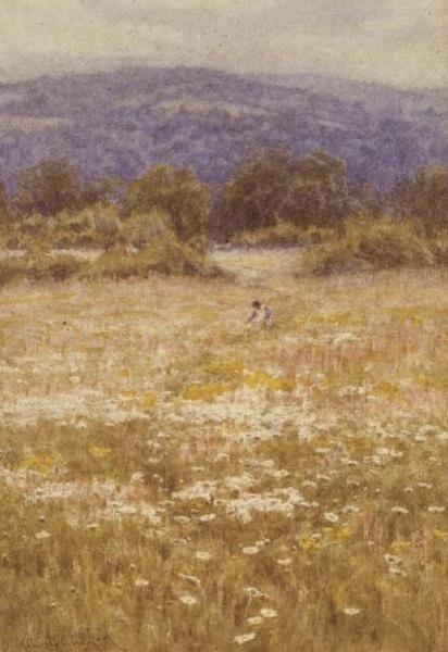 Sommerblomster av Helen Allingham
