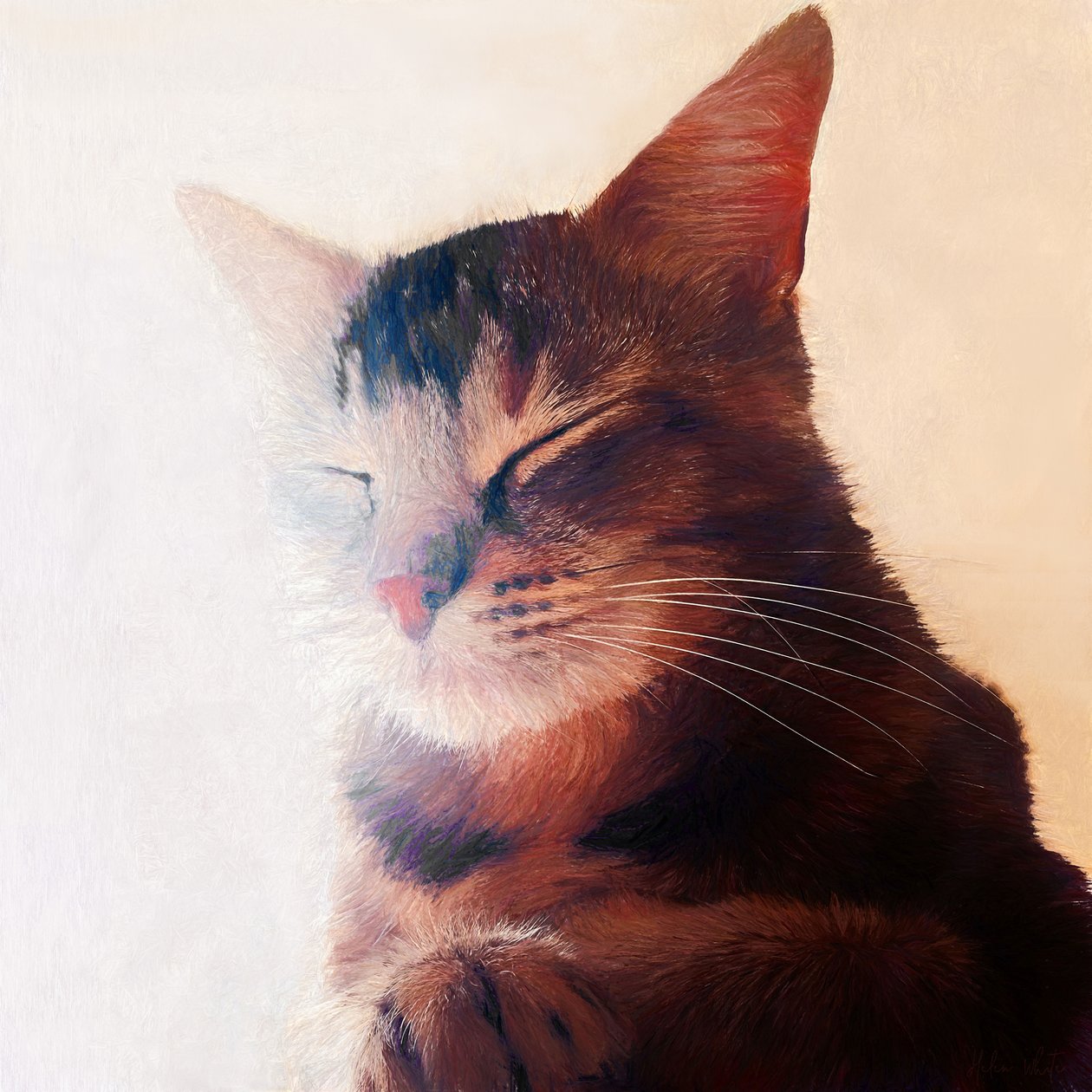 Purr-fect Spot, 2018 av Helen White
