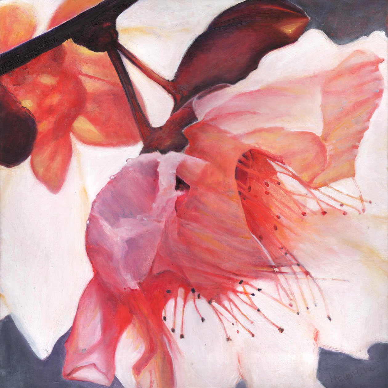 Shakti-dans, 2016, av Helen White