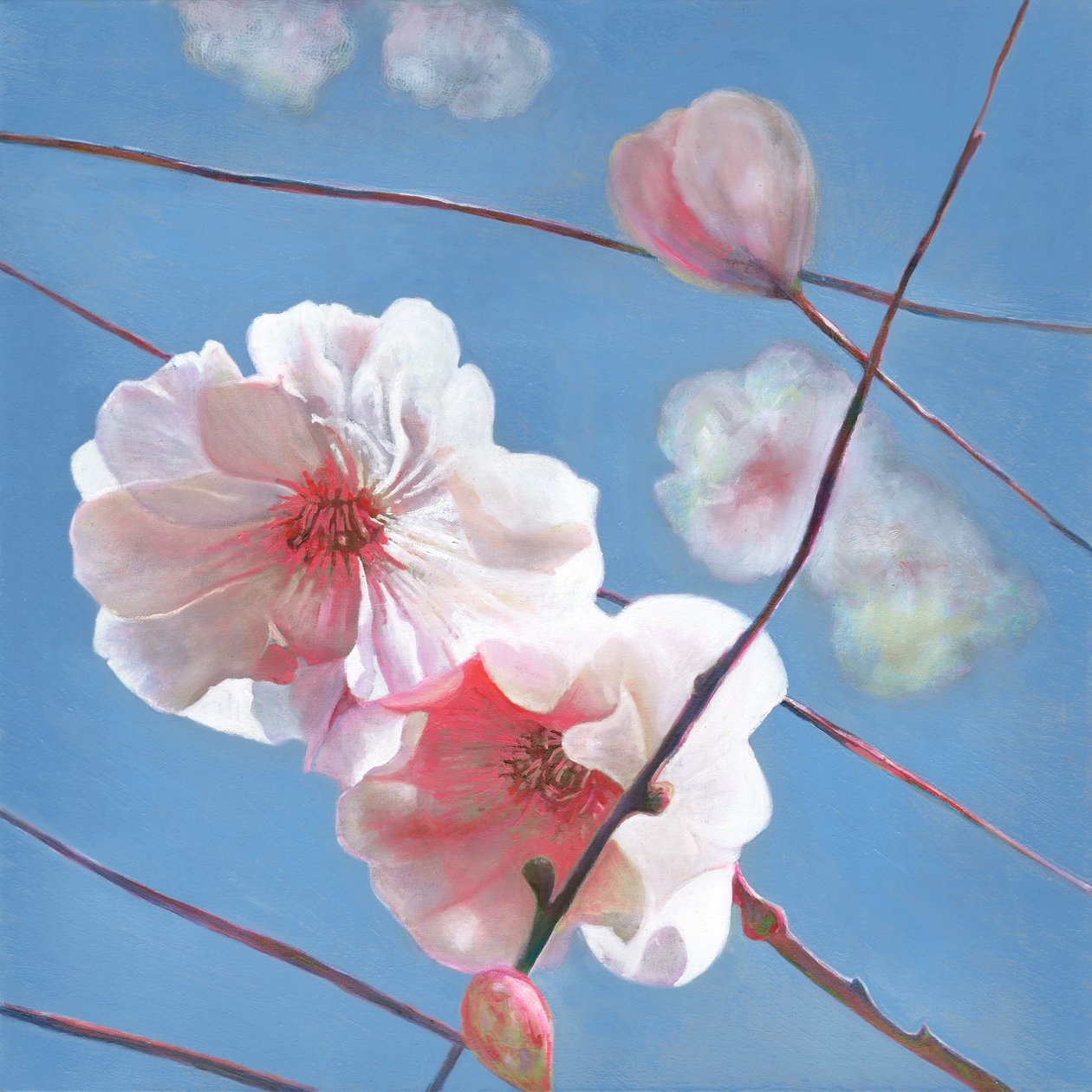 Shining Start, 2015 av Helen White