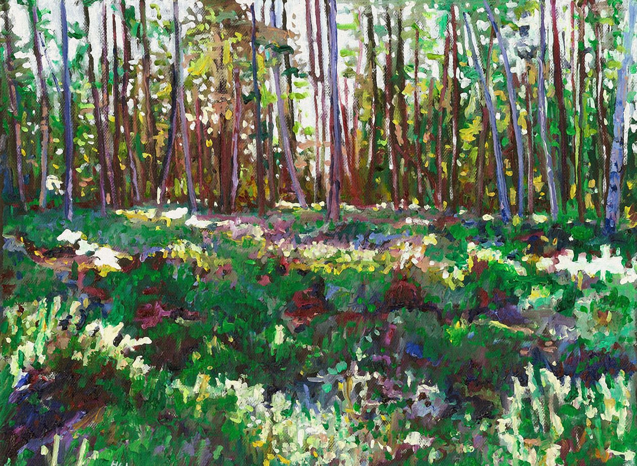 Sollys på Heather, 2011 av Helen White