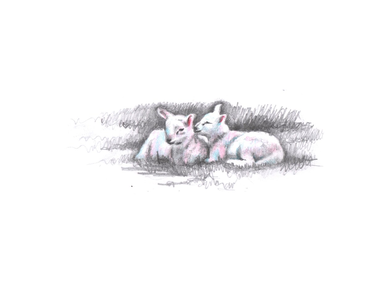 Twinned, 2016, (blyanttegning) av Helen White