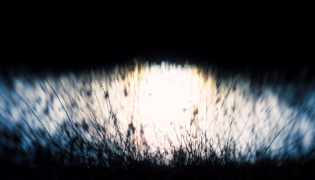 Vannteppe IV, 2017, (manipulert fotografi) av Helen White