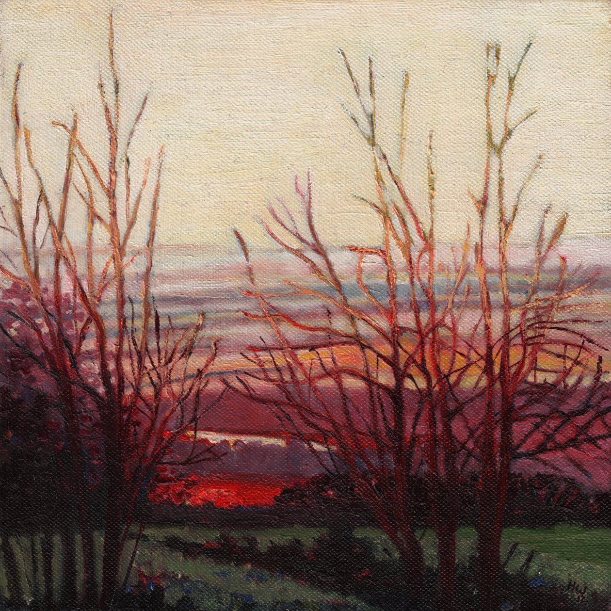 Vinterlys, 2012, av Helen White