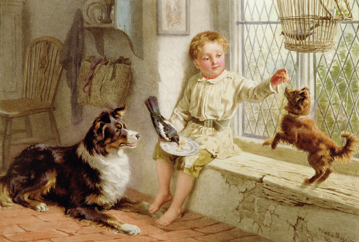 Venner av Helena J. Maguire