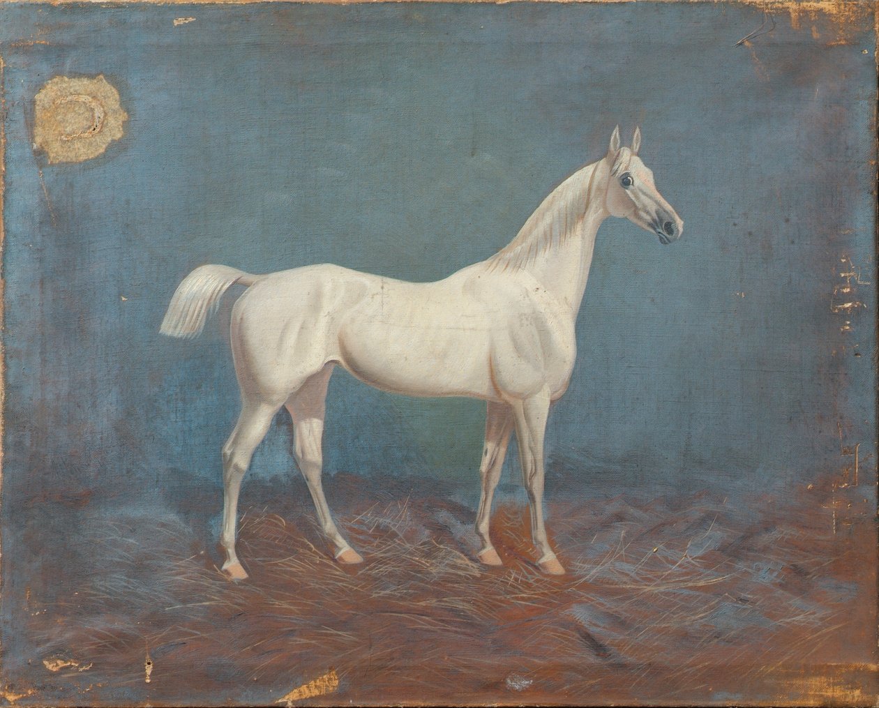En form av Hema A. Groy