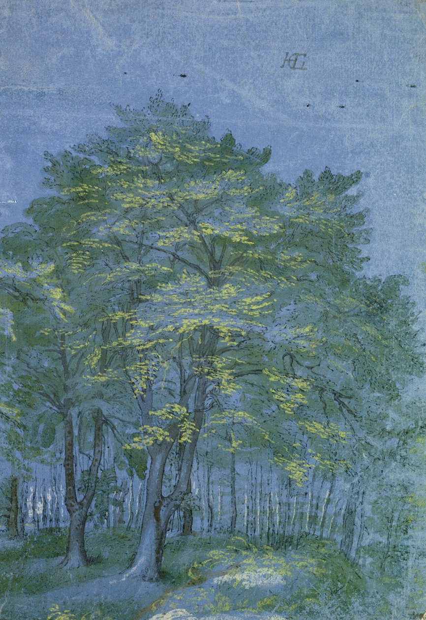 Group of Trees in a Wood, ca. 1600 (penn og blekk og vask på papir) av Hendrik Goltzius
