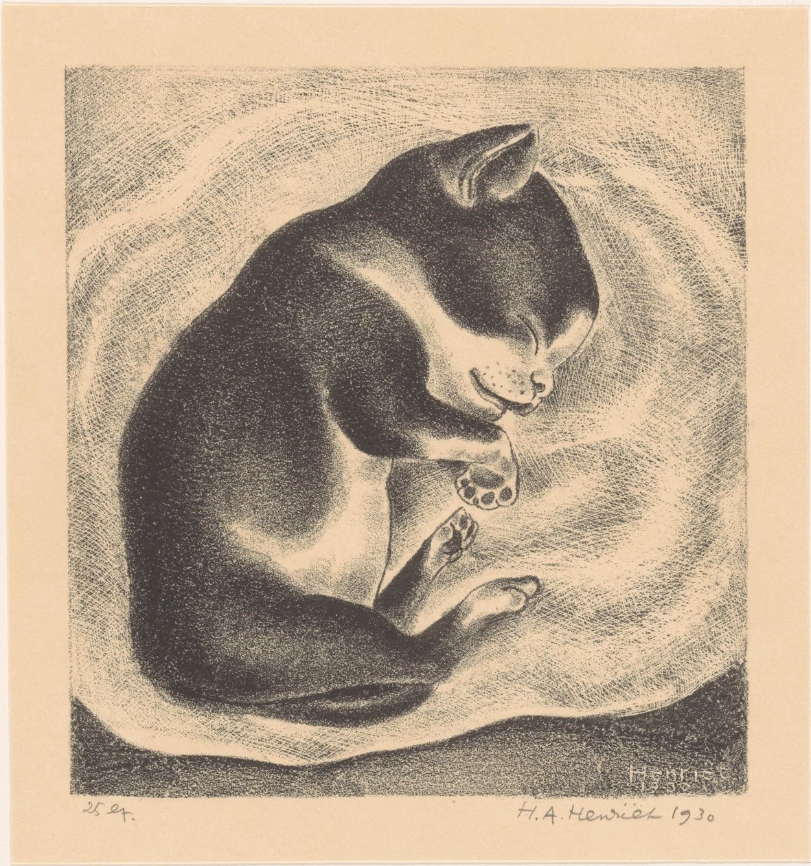 Sovende ung katt av Henk Henriët (signed by artist)
