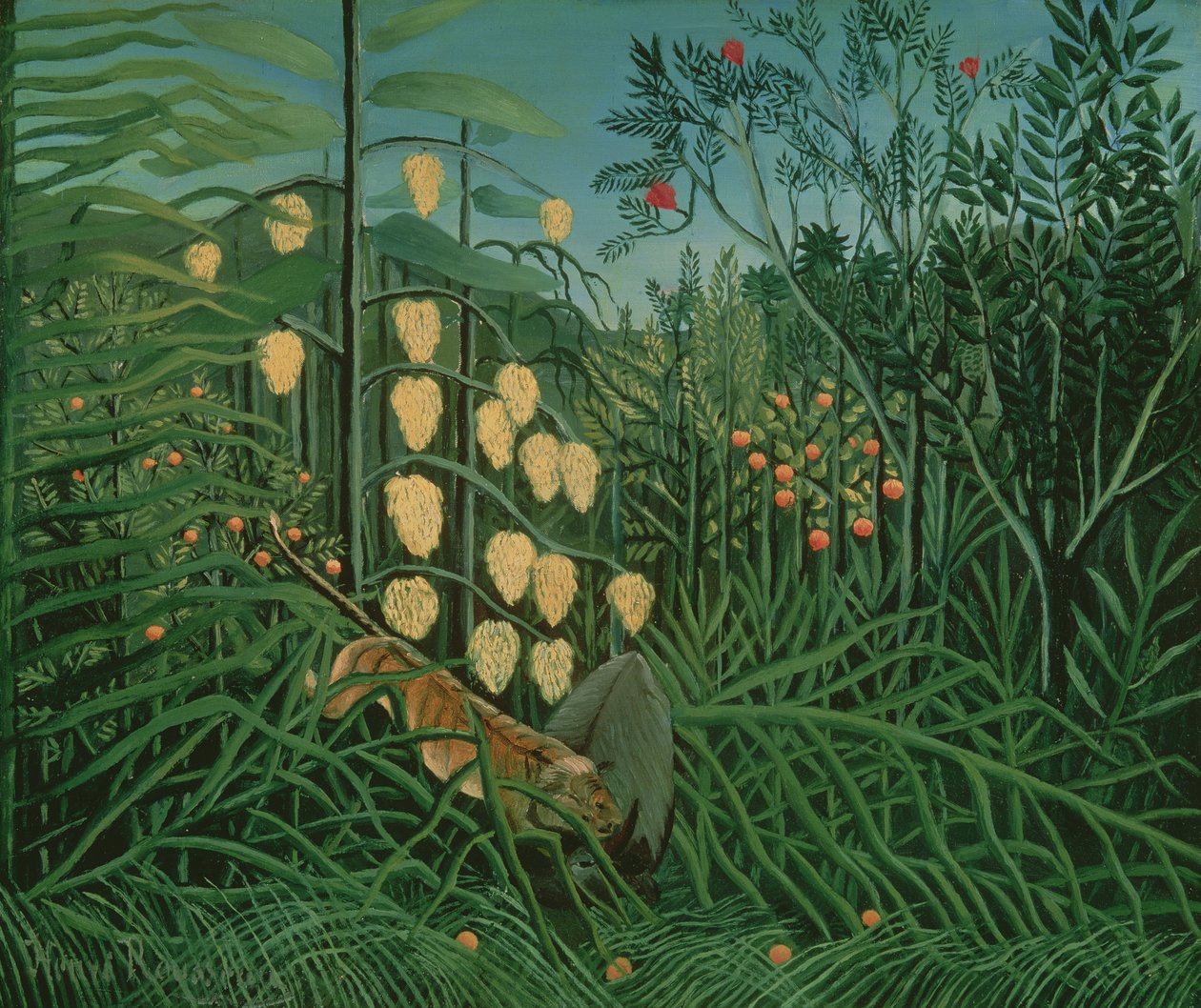 Tropical Forest: Battling Tiger and Buffalo, 1908 av Henri Rousseau