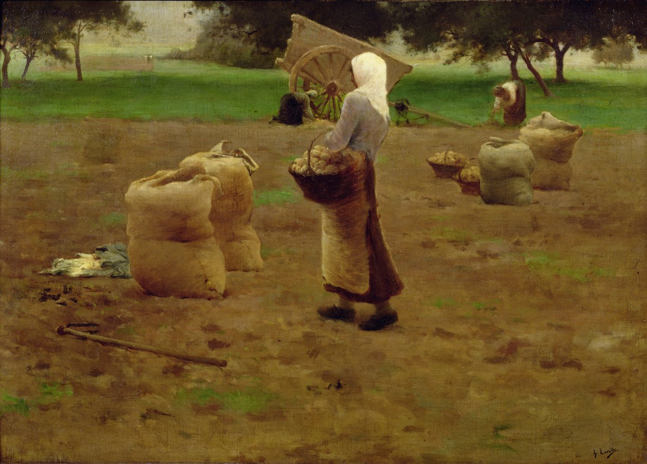 Innhøsting av poteter av Henri Lerolle