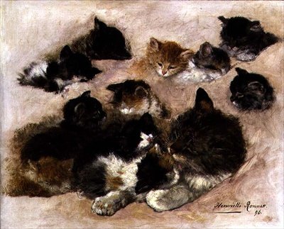 Studie av katter og kattunger av Henriëtte Ronner Knip