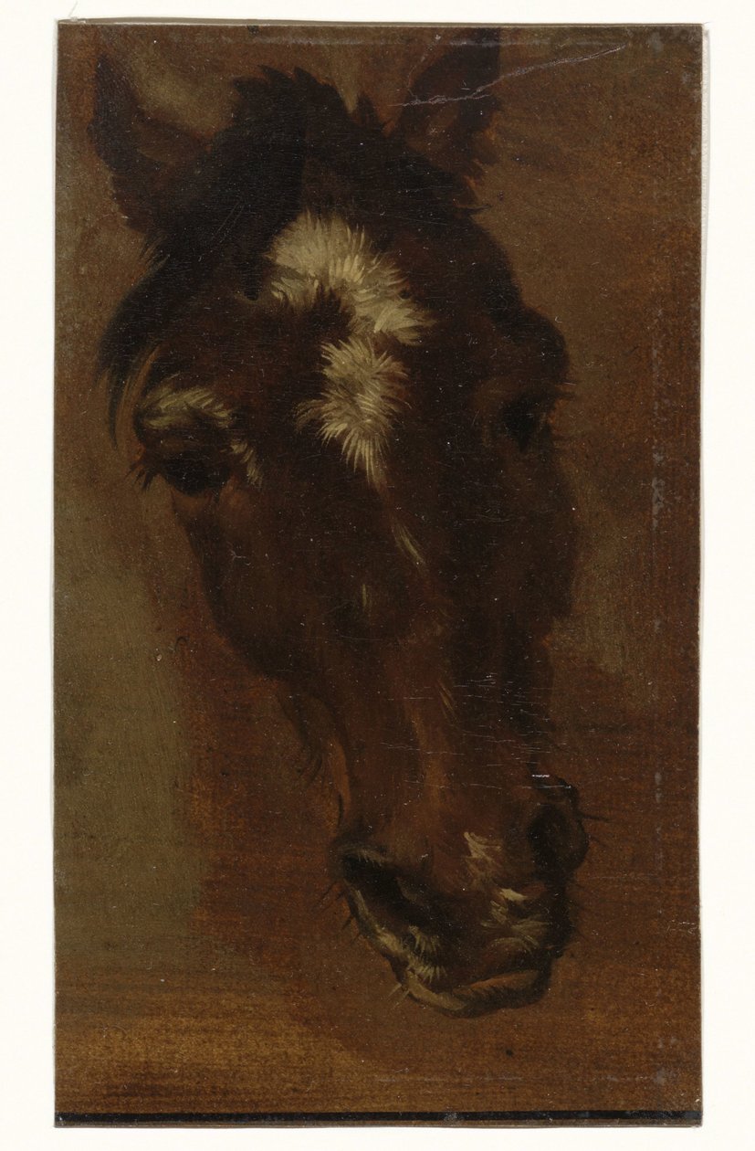 hestehode av Henriëtte Ronner