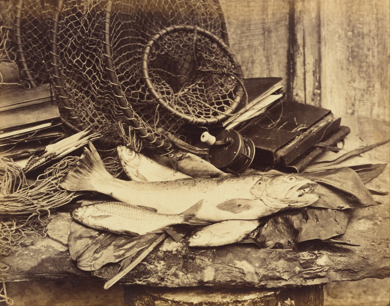 Ørretroach etc. av Henry Bailey