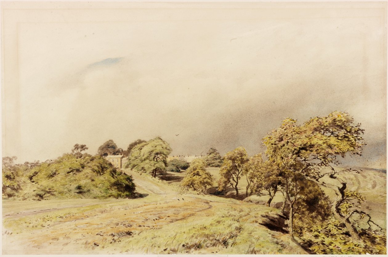 Beaumont (kroppsfarge) av Henry Burdon Richardson