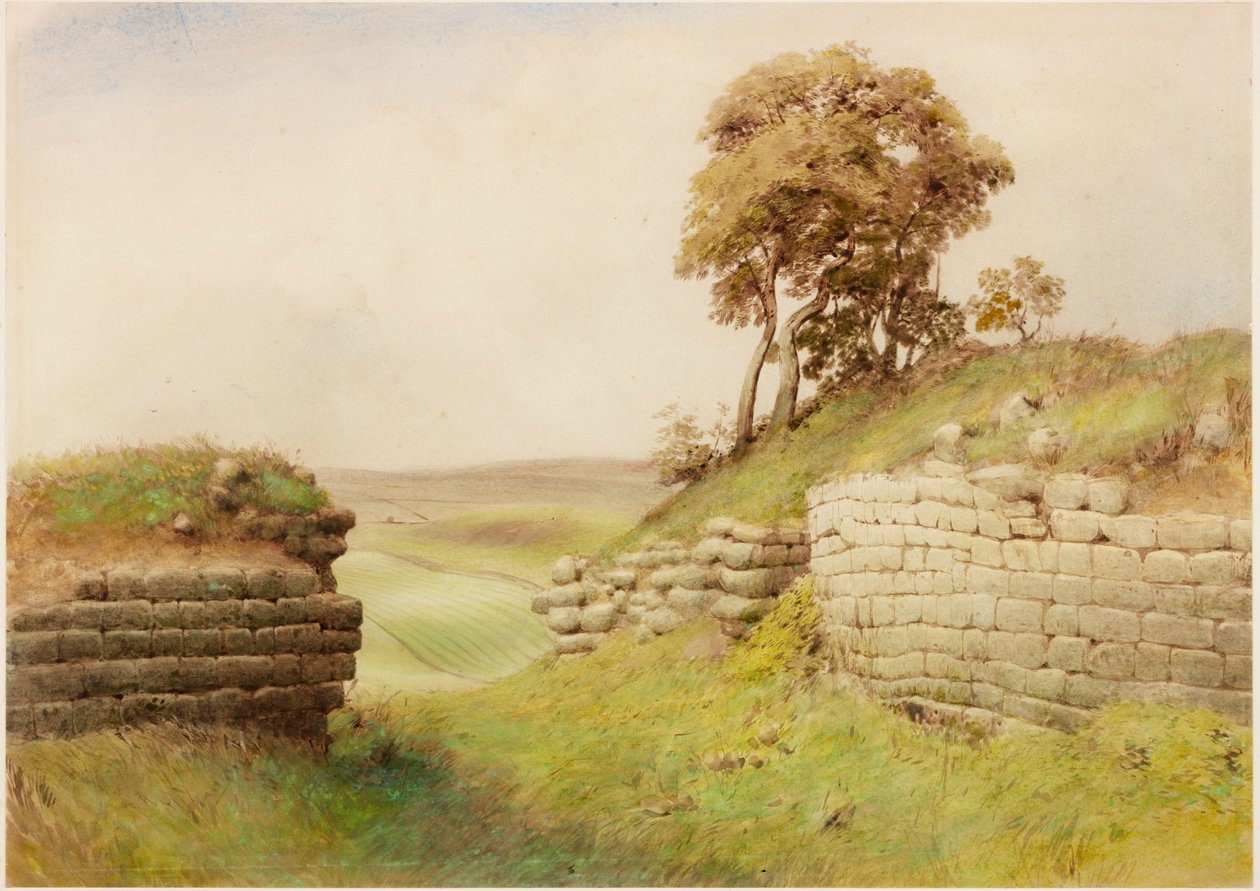 Birdswald (kroppsfarge) av Henry Burdon Richardson